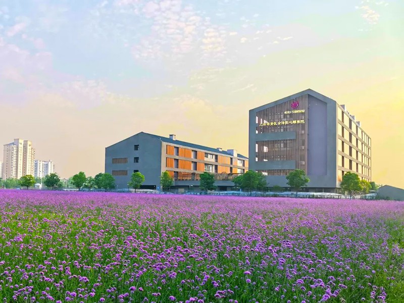 ½ðº£ÔÃÐÄ.jpg ½ðº£ÔÃÐÄ.jpg